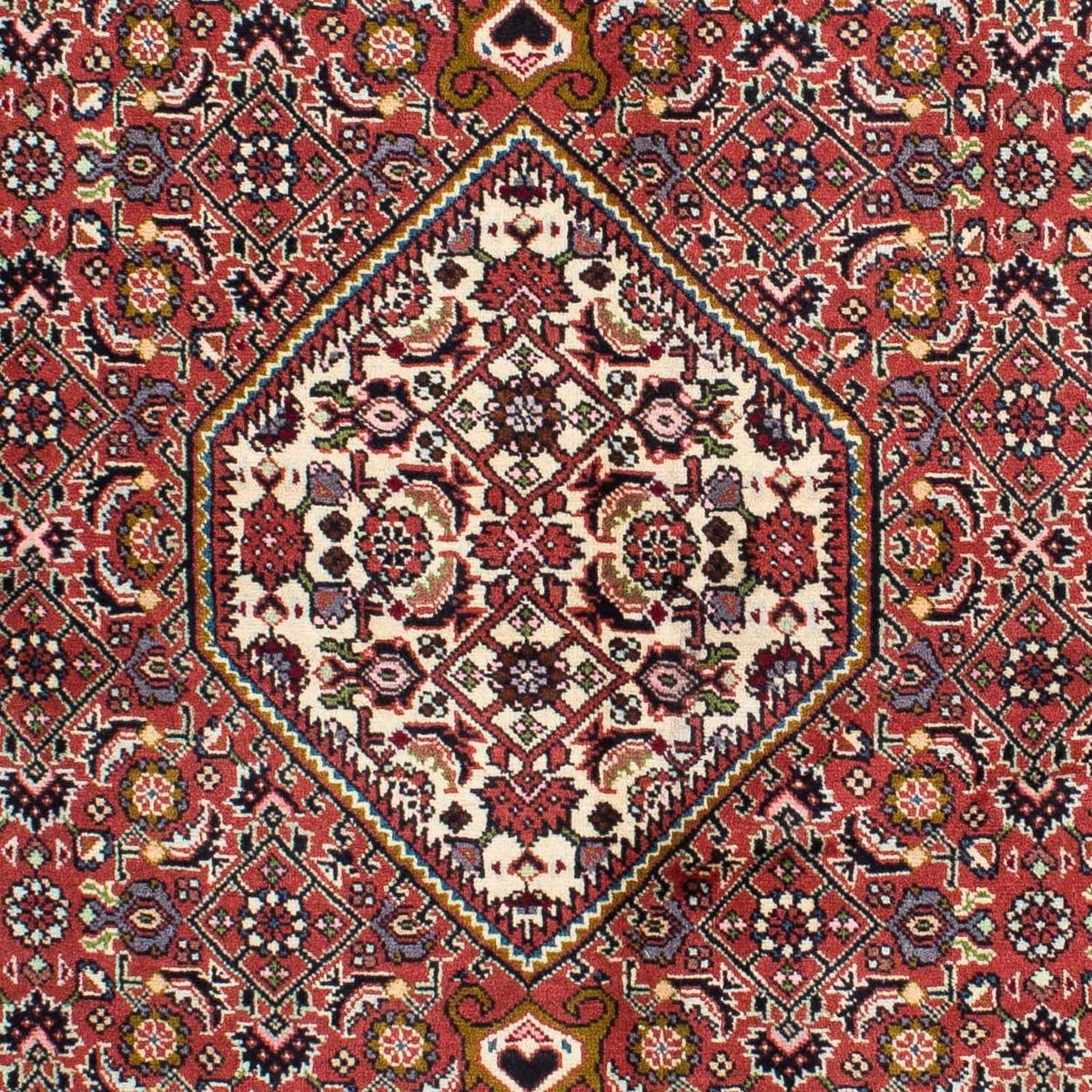 Tappeto Persero - Bidjar - 220 x 136 cm - rosso