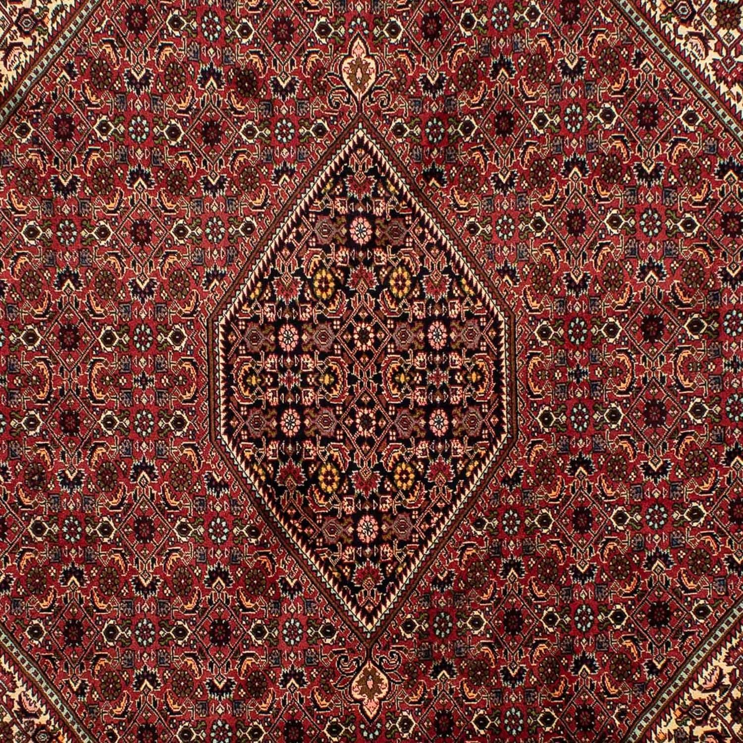 Tappeto Persero - Bidjar - 305 x 200 cm - marrone