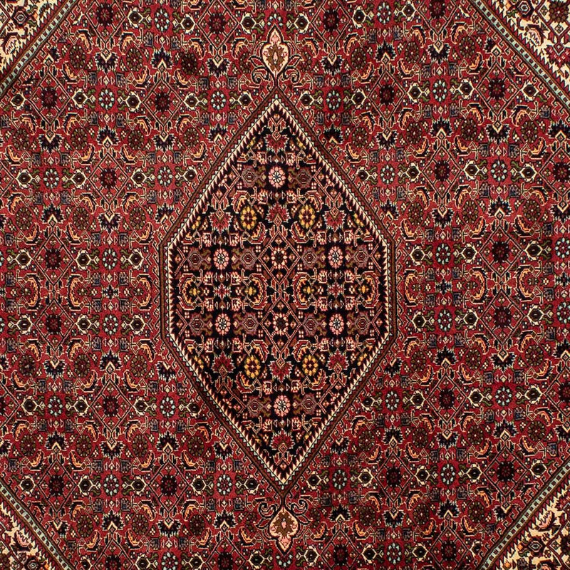 Tappeto Persero - Bidjar - 305 x 200 cm - marrone