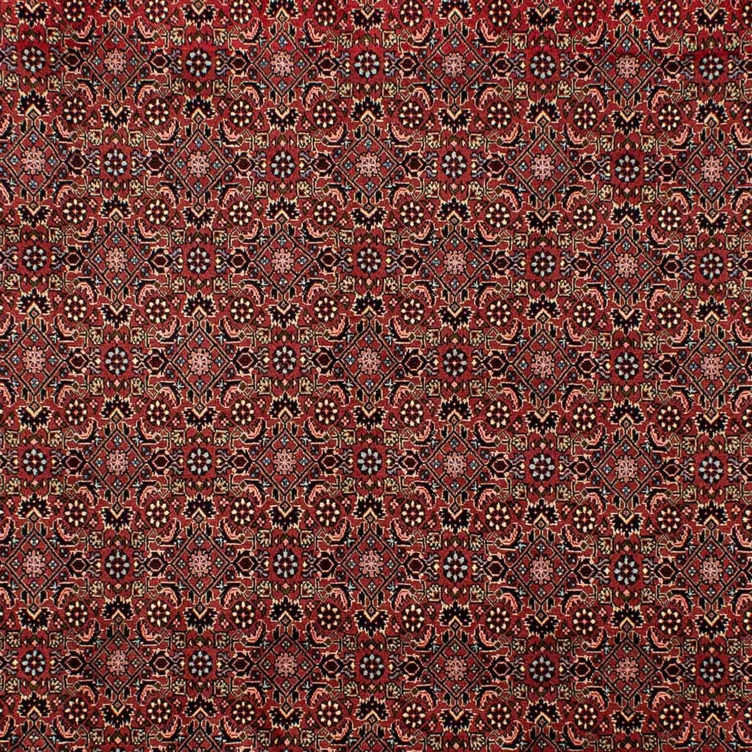 Tappeto Persero - Bidjar - 298 x 198 cm - rosso scuro