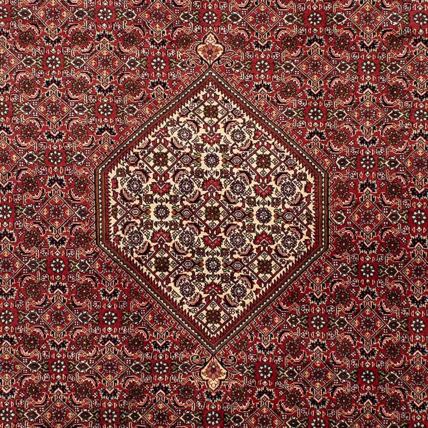 Tappeto Persero - Bidjar - 302 x 198 cm - rosso chiaro