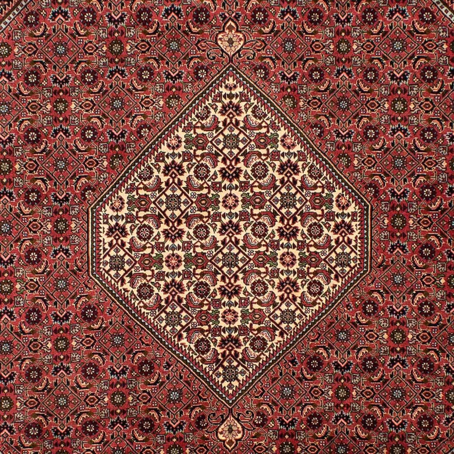 Tappeto Persero - Bidjar - 308 x 200 cm - rosso chiaro