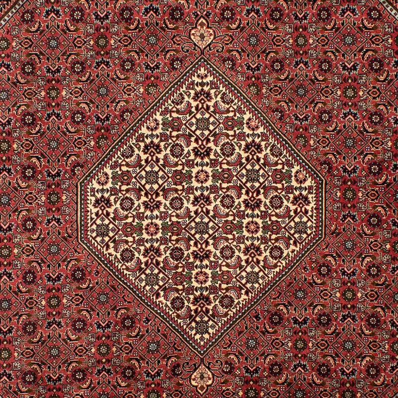 Tappeto Persero - Bidjar - 308 x 200 cm - rosso chiaro