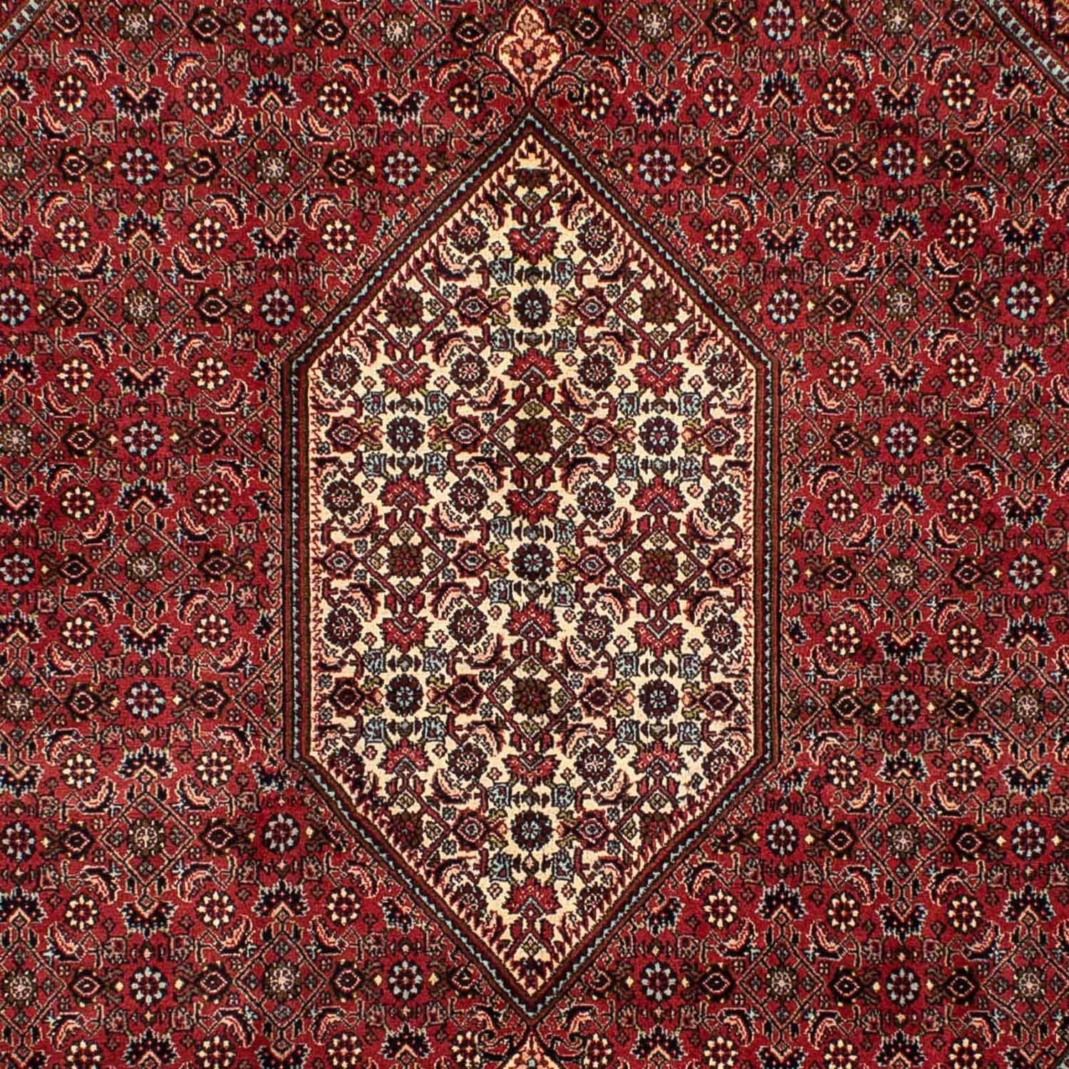 Tappeto Persero - Bidjar - 282 x 204 cm - rosso scuro