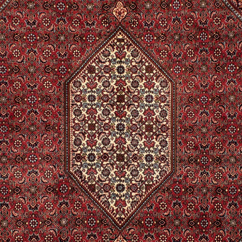 Tappeto Persero - Bidjar - 282 x 204 cm - rosso scuro