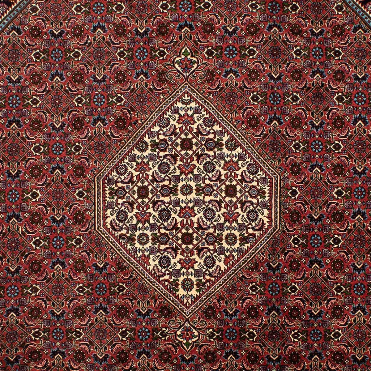 Tappeto Persero - Bidjar - 302 x 198 cm - marrone