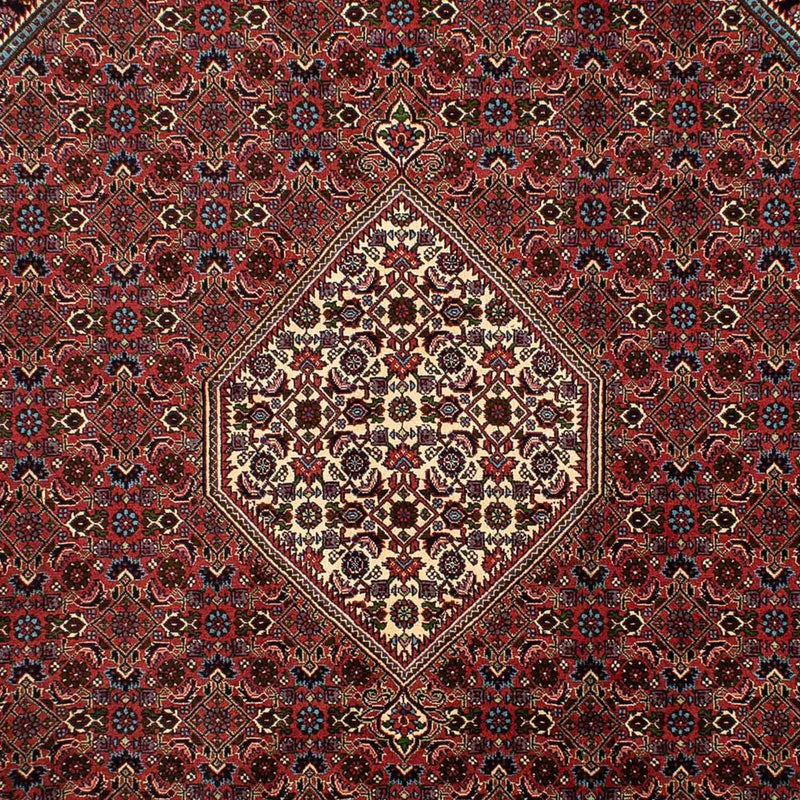 Tappeto Persero - Bidjar - 302 x 198 cm - marrone