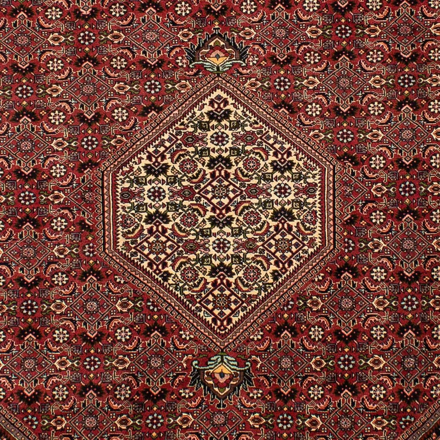 Tappeto Persero - Bidjar - 292 x 196 cm - marrone