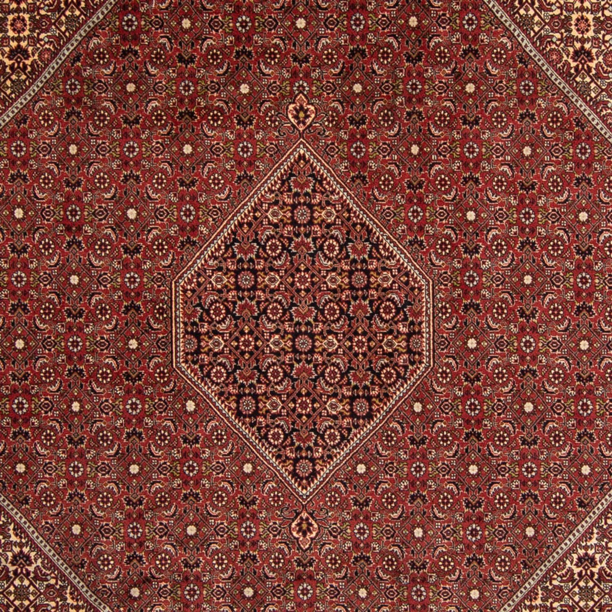 Tappeto Persero - Bidjar - 345 x 247 cm - marrone
