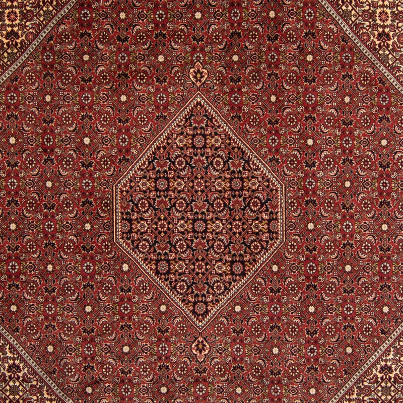 Tappeto Persero - Bidjar - 345 x 247 cm - marrone