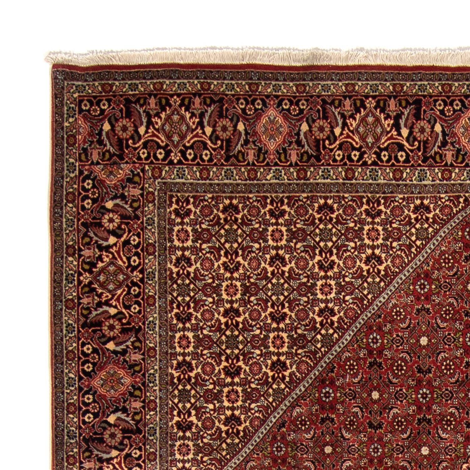 Tappeto Persero - Bidjar - 345 x 247 cm - marrone