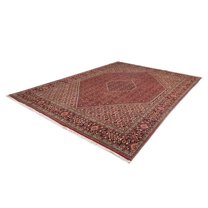 Tappeto Persero - Bidjar - 345 x 247 cm - marrone
