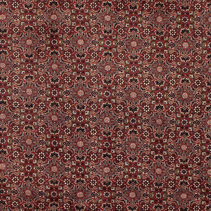 Tappeto Persero - Bidjar - 292 x 198 cm - marrone