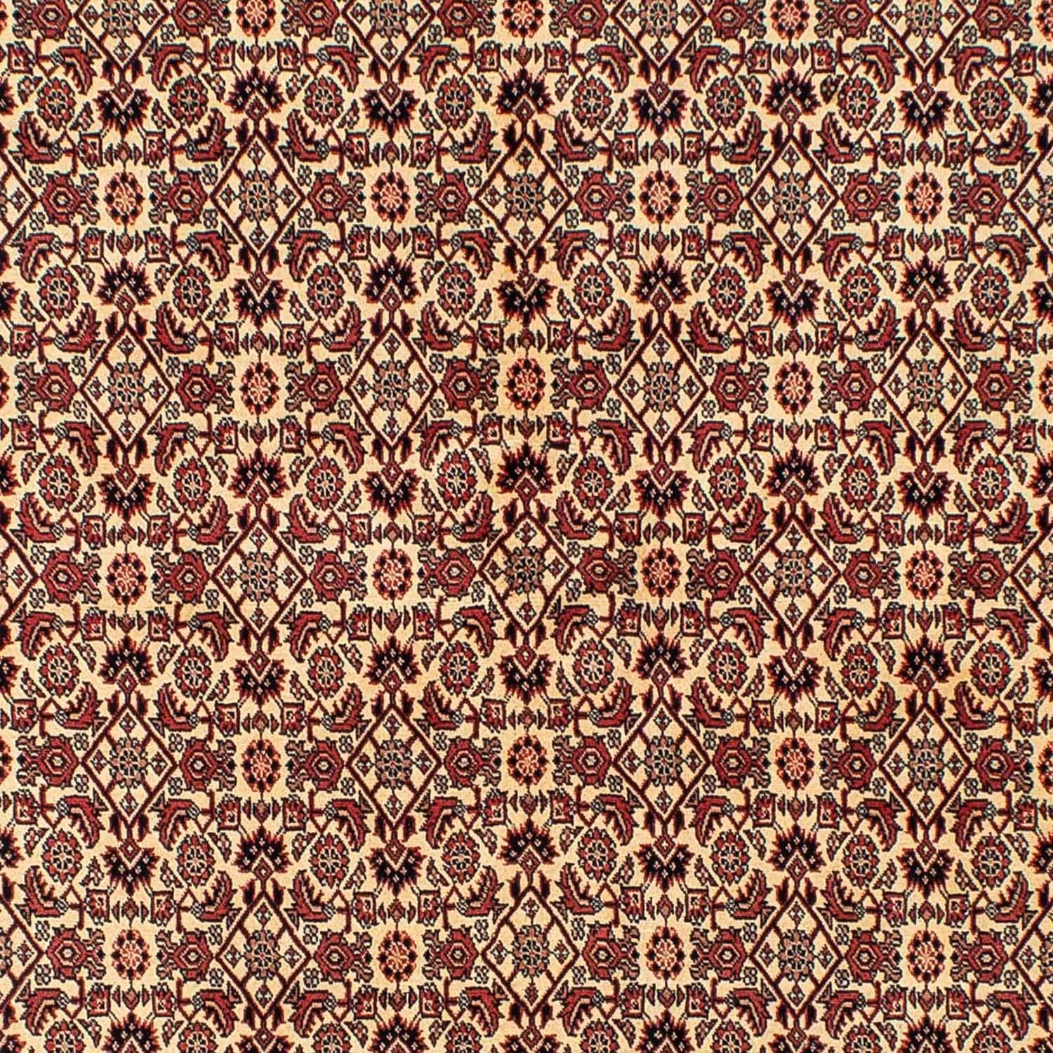 Tappeto Persero - Bidjar - 254 x 171 cm - marrone