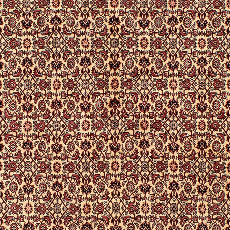 Tappeto Persero - Bidjar - 254 x 171 cm - marrone