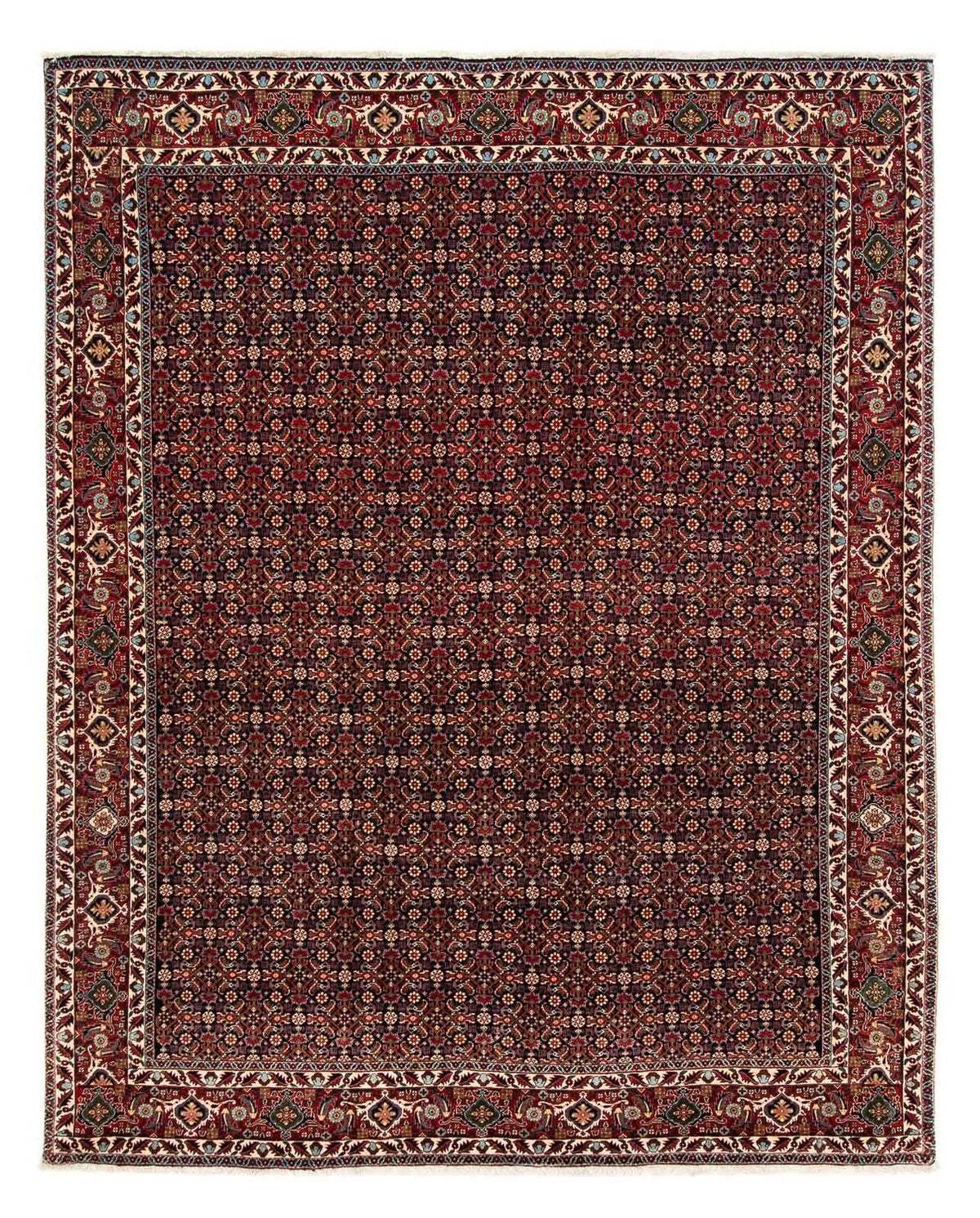 Tappeto Persero - Bidjar - 248 x 205 cm - rosso scuro