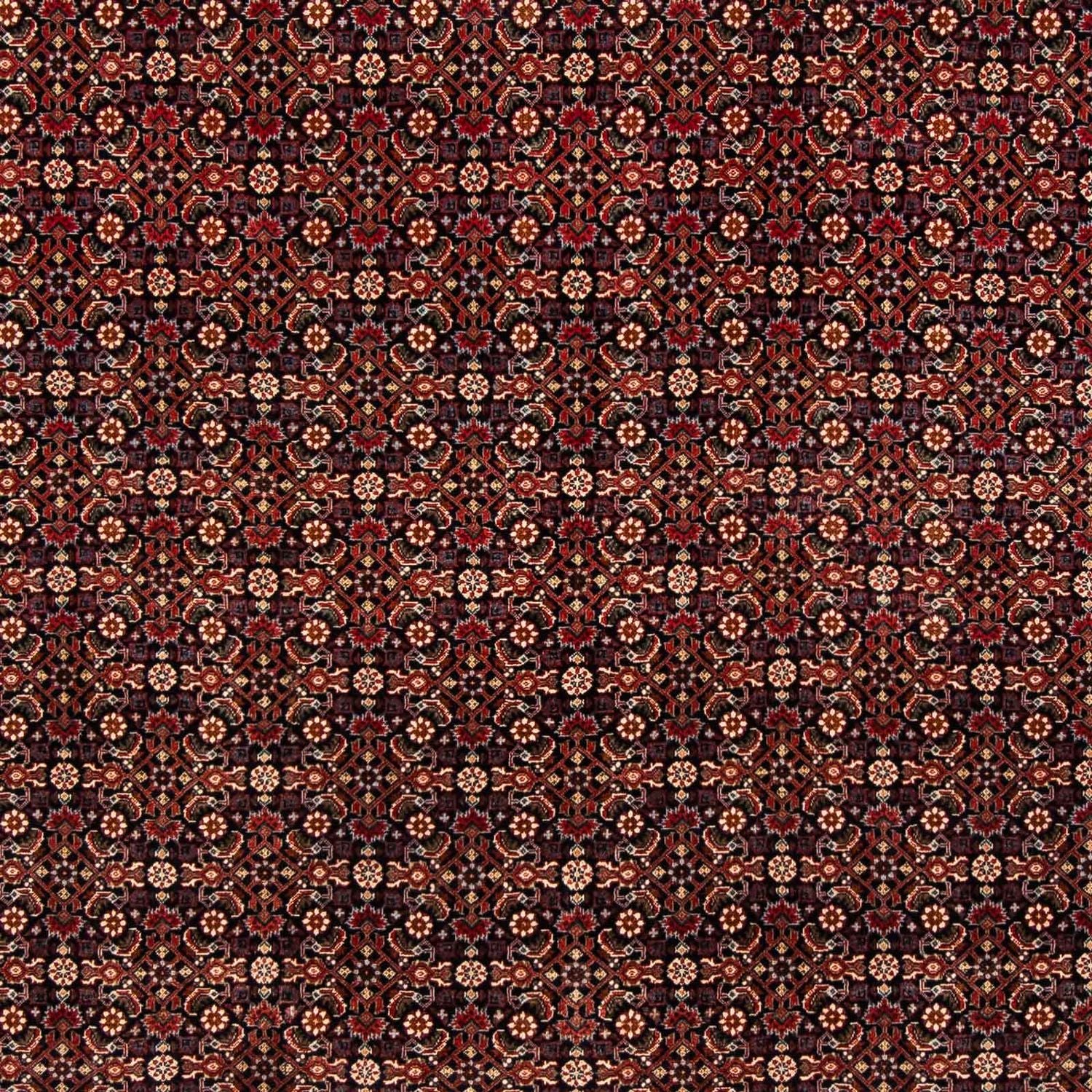 Tappeto Persero - Bidjar - 248 x 205 cm - rosso scuro