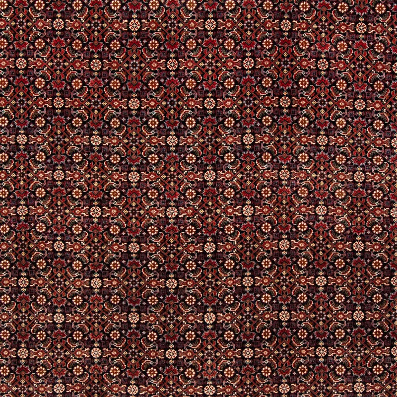 Tappeto Persero - Bidjar - 248 x 205 cm - rosso scuro