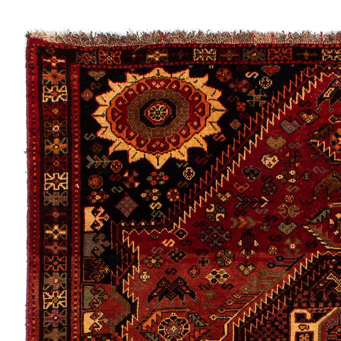Shiraz Tappeto 285x185cm - Tappeto persiano
