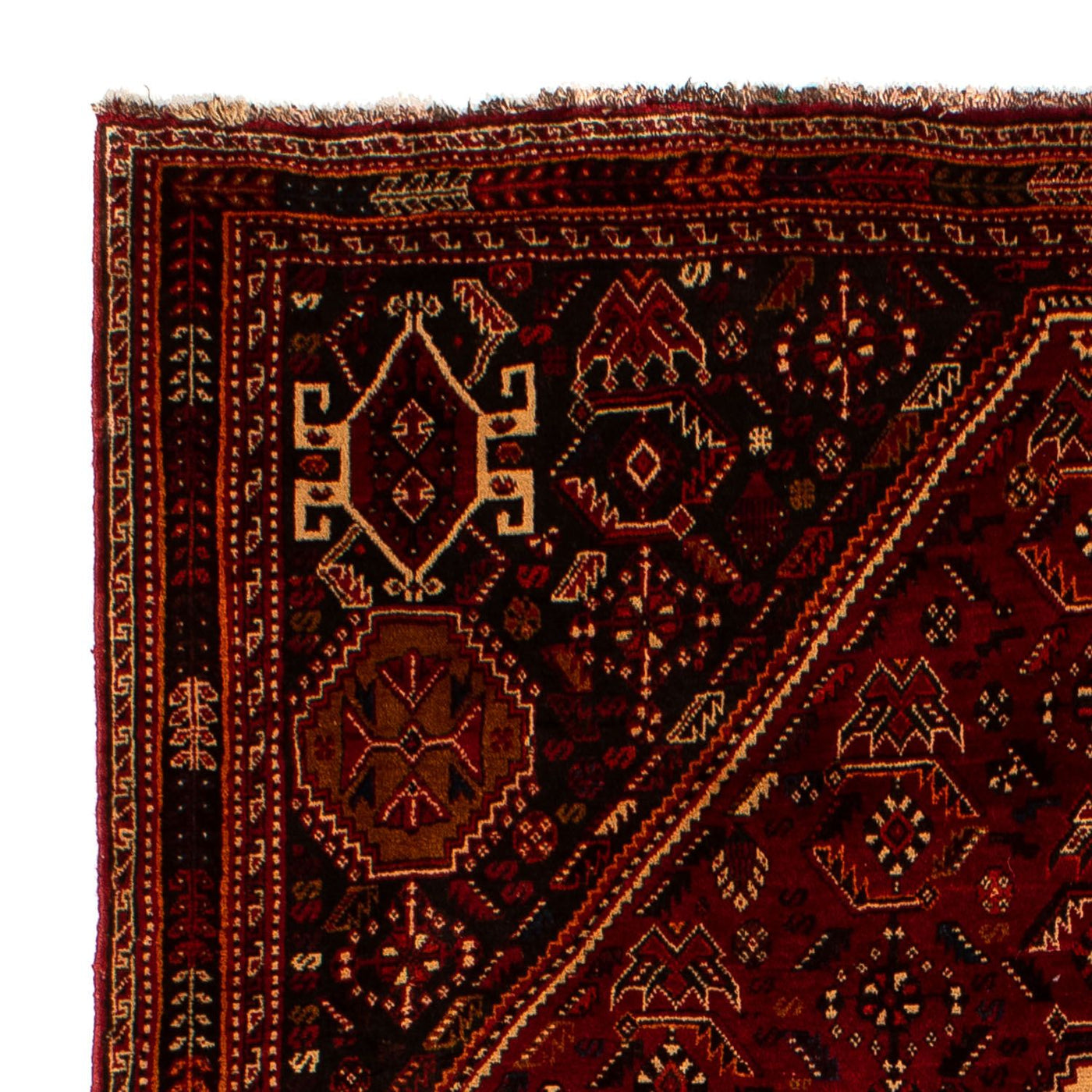 Qashqai Tappeto 275x182cm - Tappeto persiano