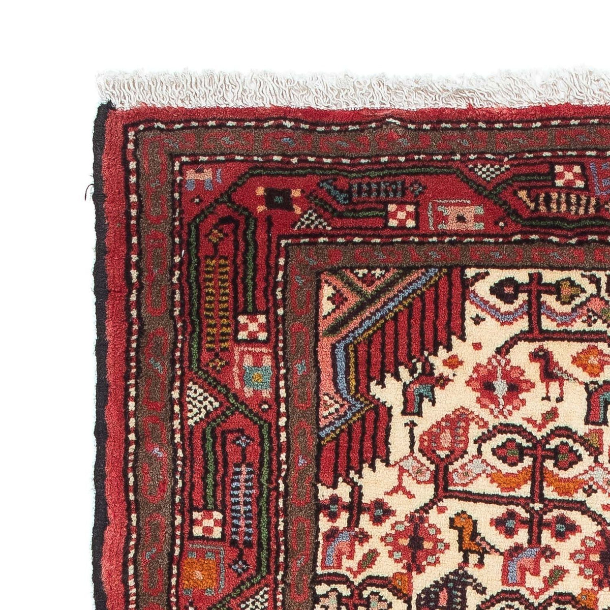 Hamadan Tappeto 78x138cm - Tappeto persiano