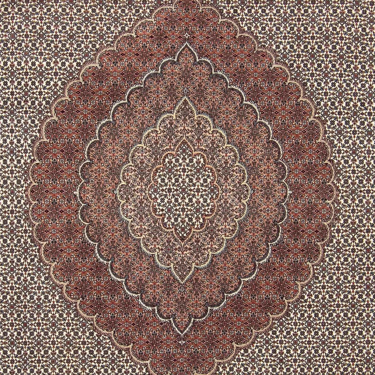 Tappeto Persero - Tabriz - 300 x 250 cm - multicolore