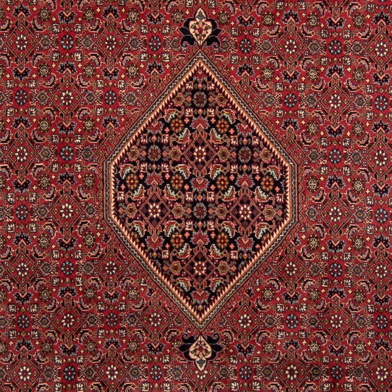 Tappeto Persero - Bidjar - 343 x 248 cm - marrone