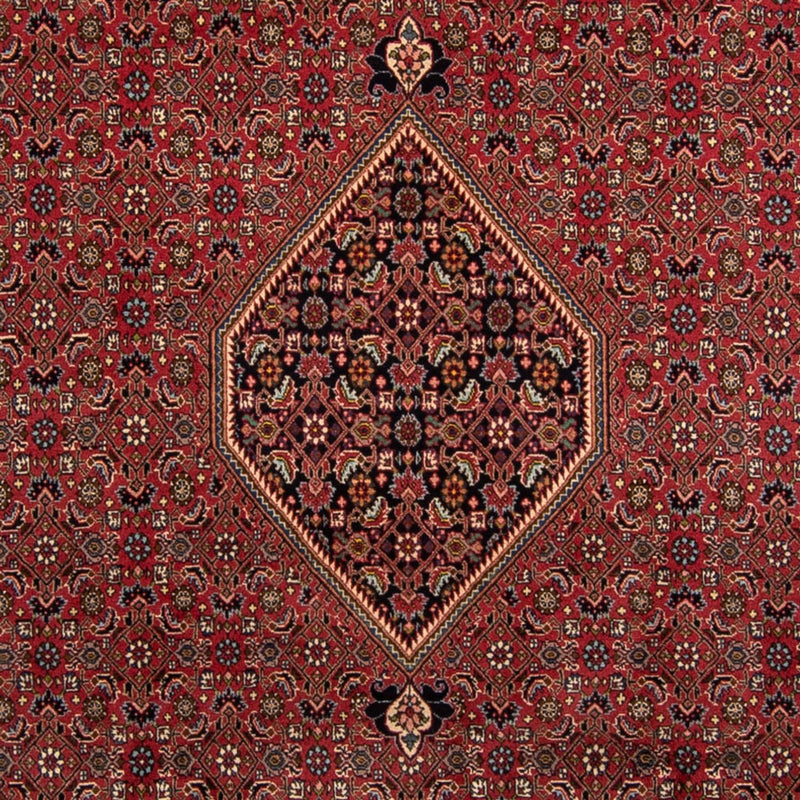 Tappeto Persero - Bidjar - 343 x 248 cm - marrone
