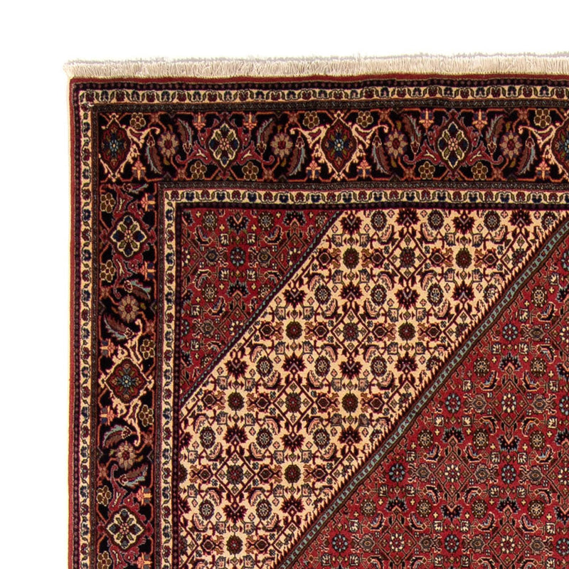 Tappeto Persero - Bidjar - 343 x 248 cm - marrone
