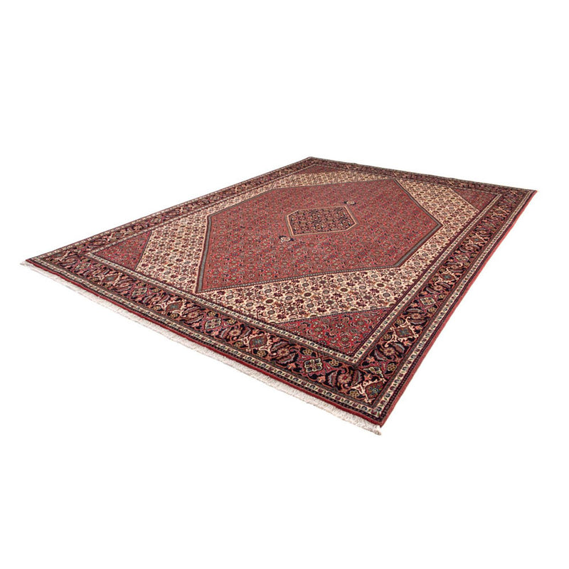 Tappeto Persero - Bidjar - 343 x 248 cm - marrone