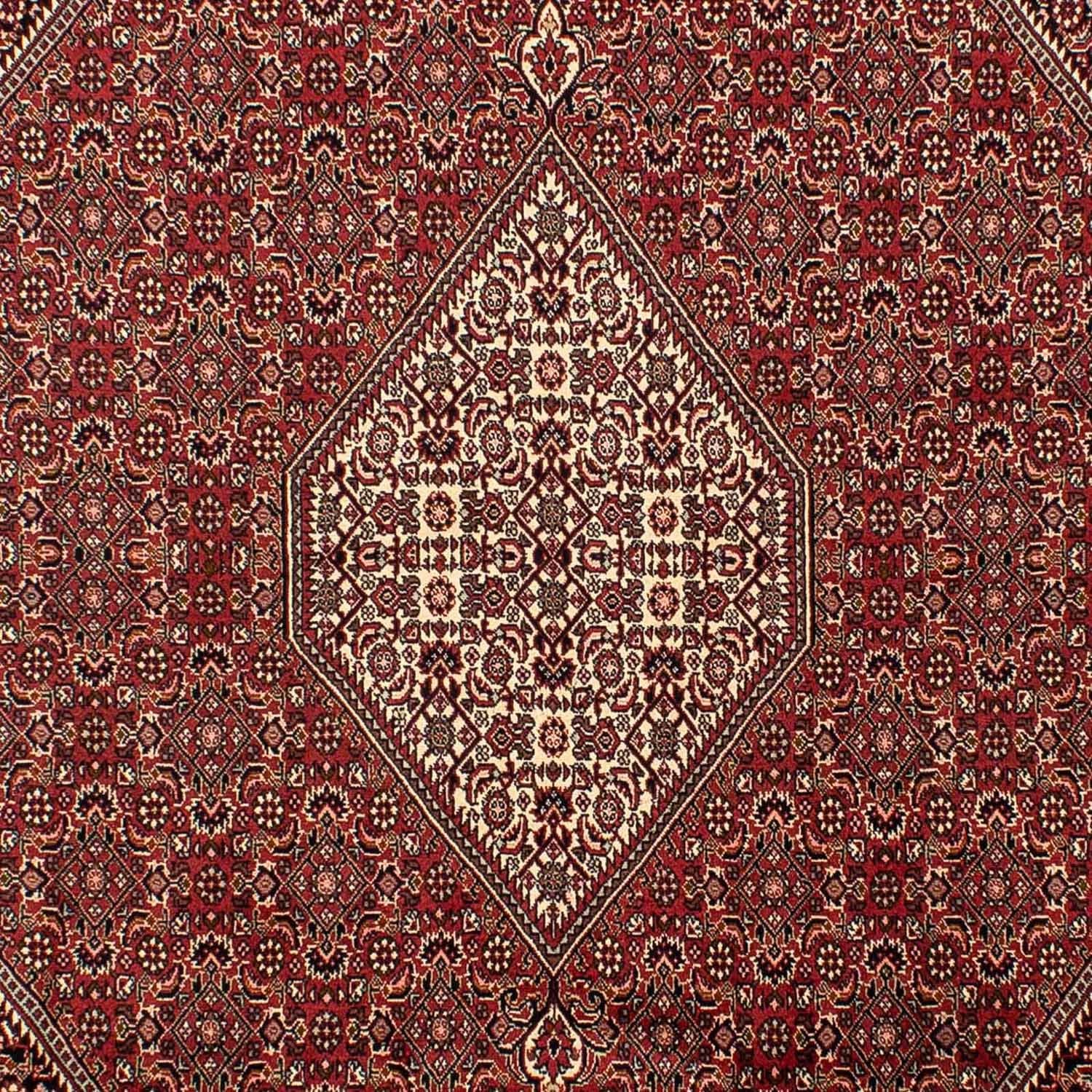 Tappeto Persero - Bidjar - 304 x 200 cm - marrone