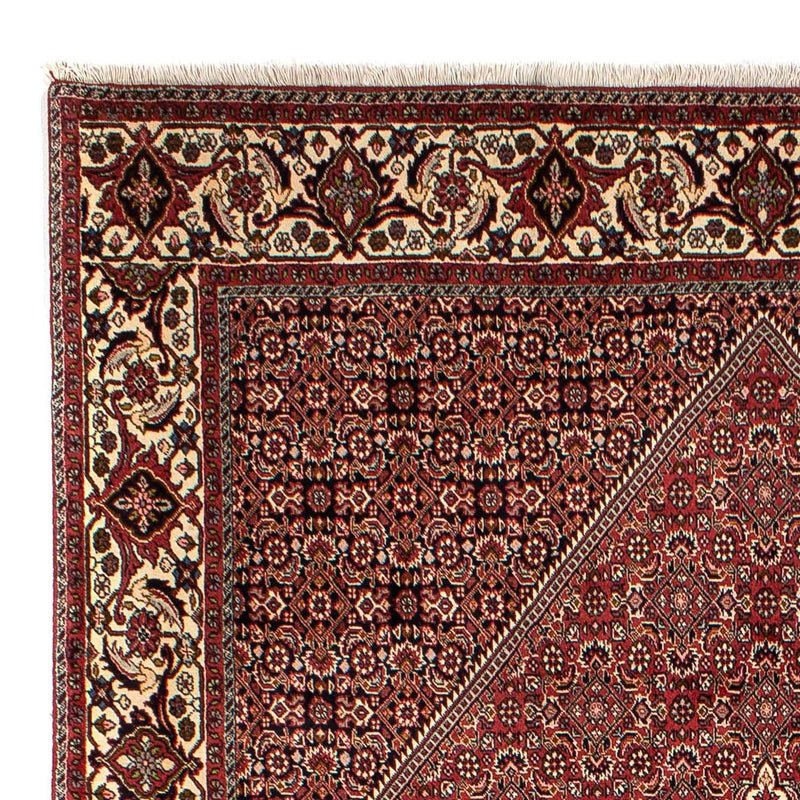 Tappeto Persero - Bidjar - 304 x 200 cm - marrone
