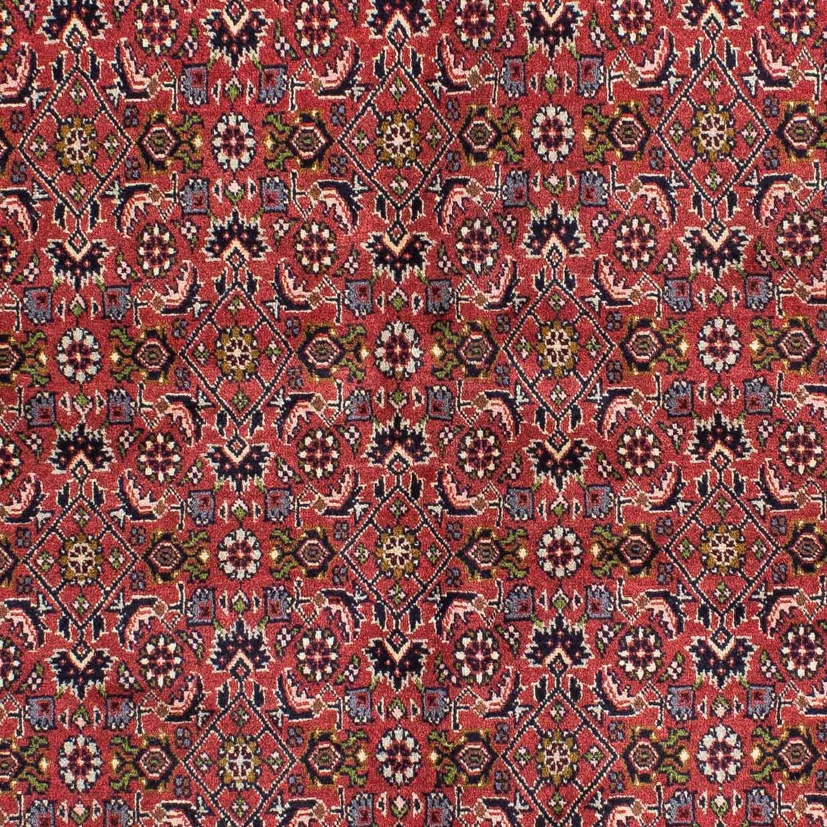 Tappeto Persero - Bidjar - 207 x 142 cm - rosso