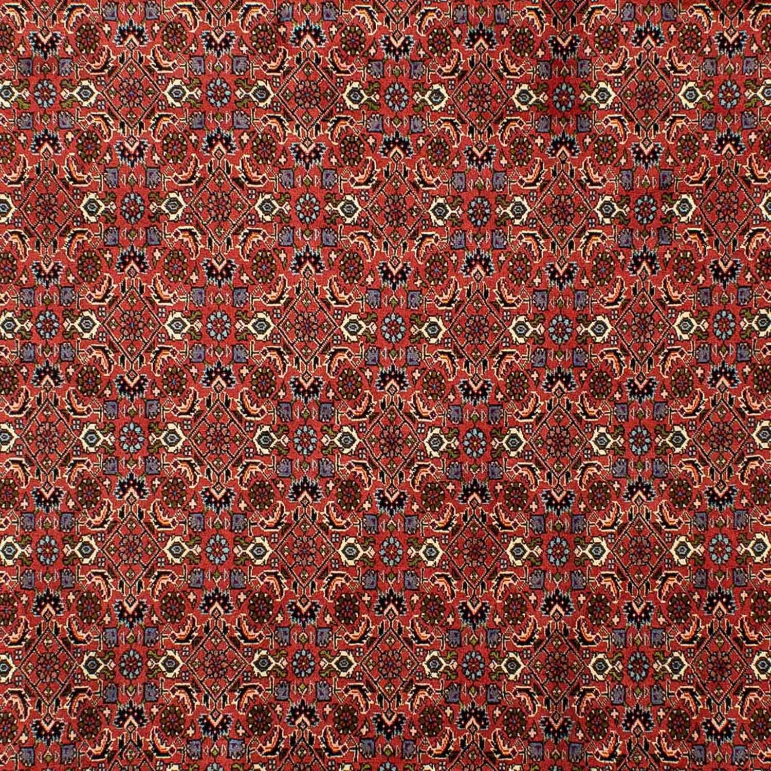 Tappeto Persero - Bidjar - 290 x 200 cm - rosso scuro