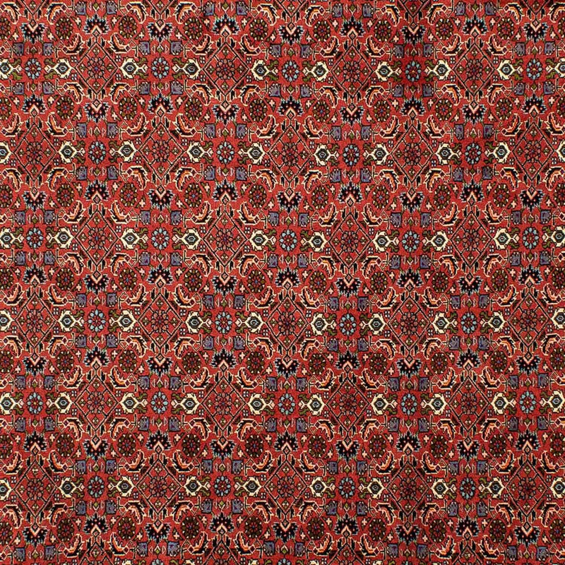 Tappeto Persero - Bidjar - 290 x 200 cm - rosso scuro