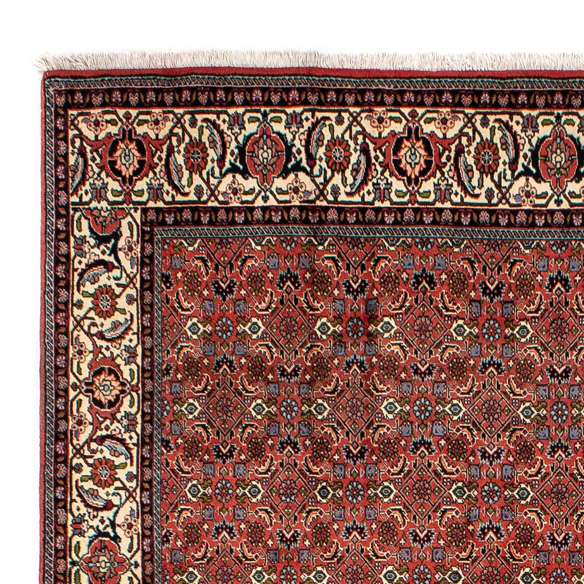 Bidjar Tappeto 200x290cm - Tappeto persiano