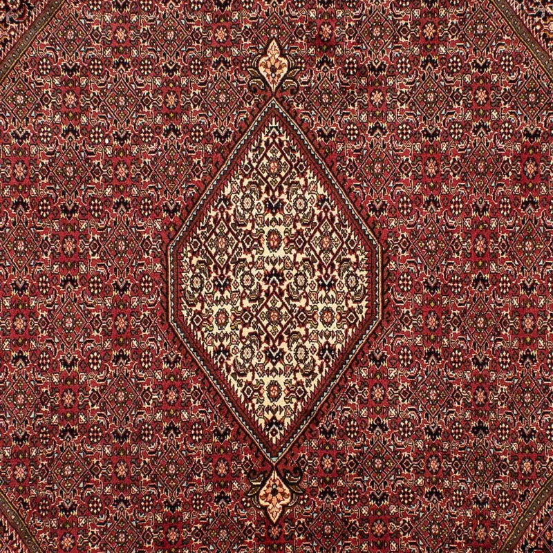 Tappeto Persero - Bidjar - 305 x 202 cm - marrone