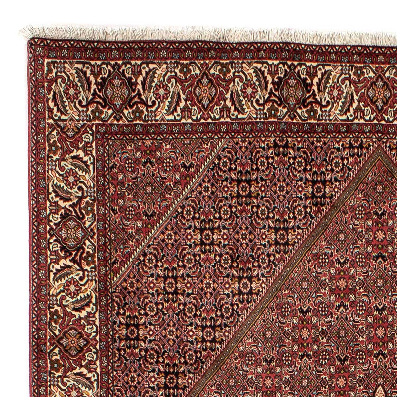 Tappeto Persero - Bidjar - 305 x 202 cm - marrone