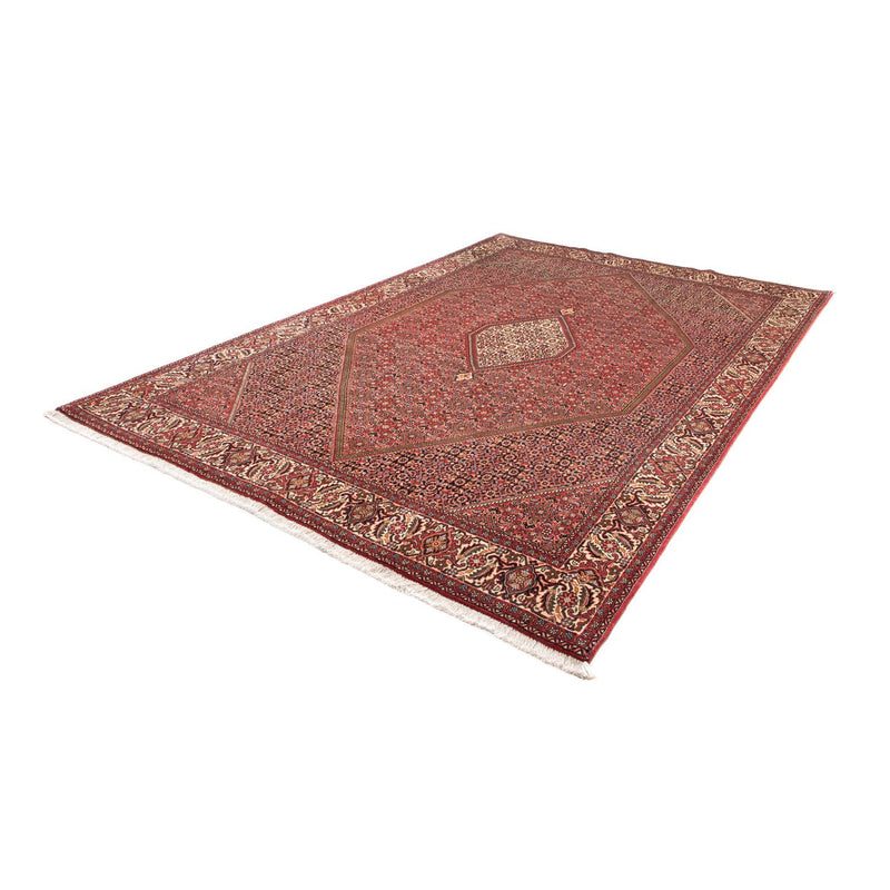 Tappeto Persero - Bidjar - 305 x 202 cm - marrone