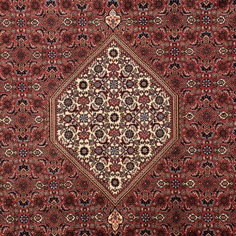 Tappeto Persero - Bidjar - 302 x 200 cm - marrone
