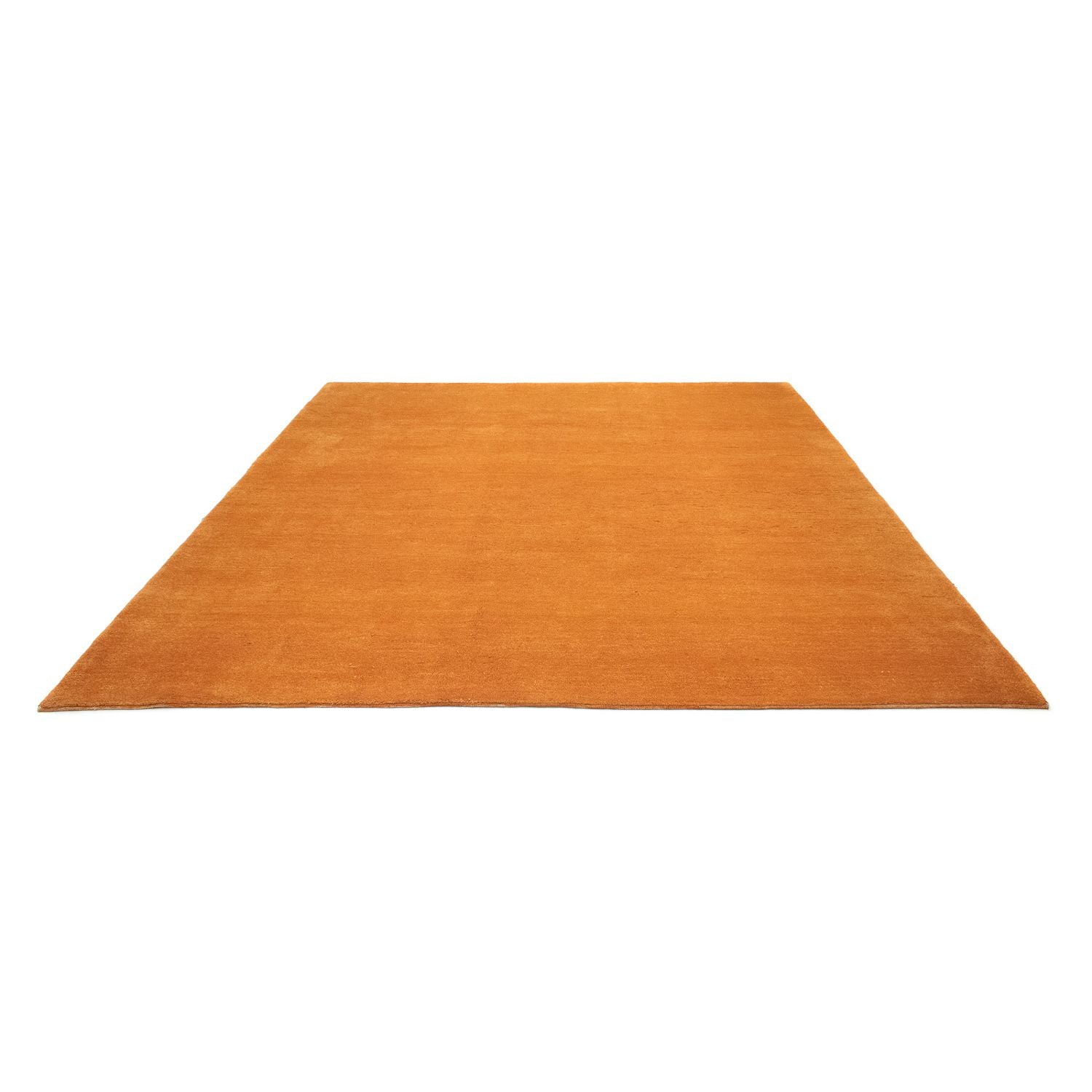 Tappeto Gabbeh - Persero - 285 x 243 cm - oro