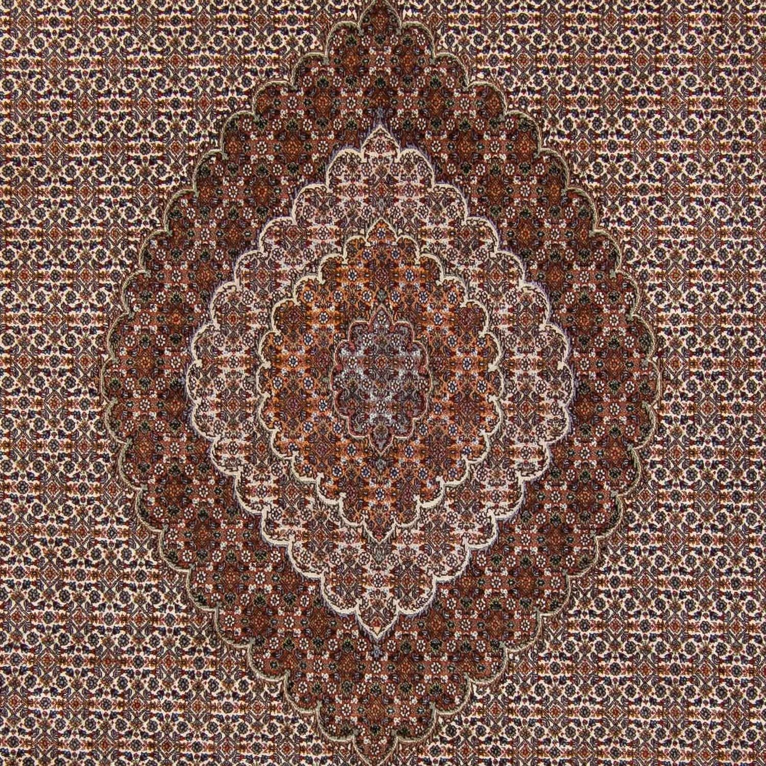 Tappeto Persero - Tabriz - 341 x 251 cm - marrone scuro
