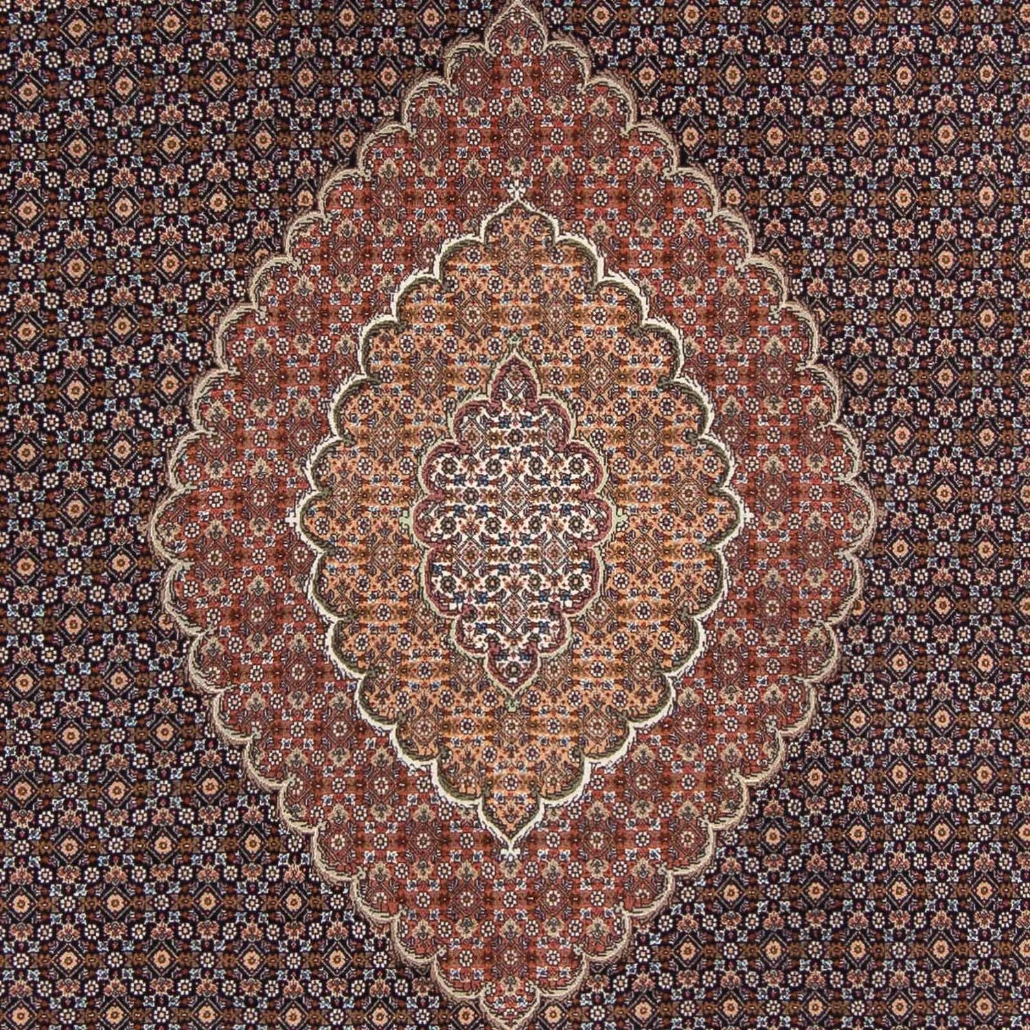 Tappeto Persero - Tabriz - 294 x 208 cm - marrone scuro