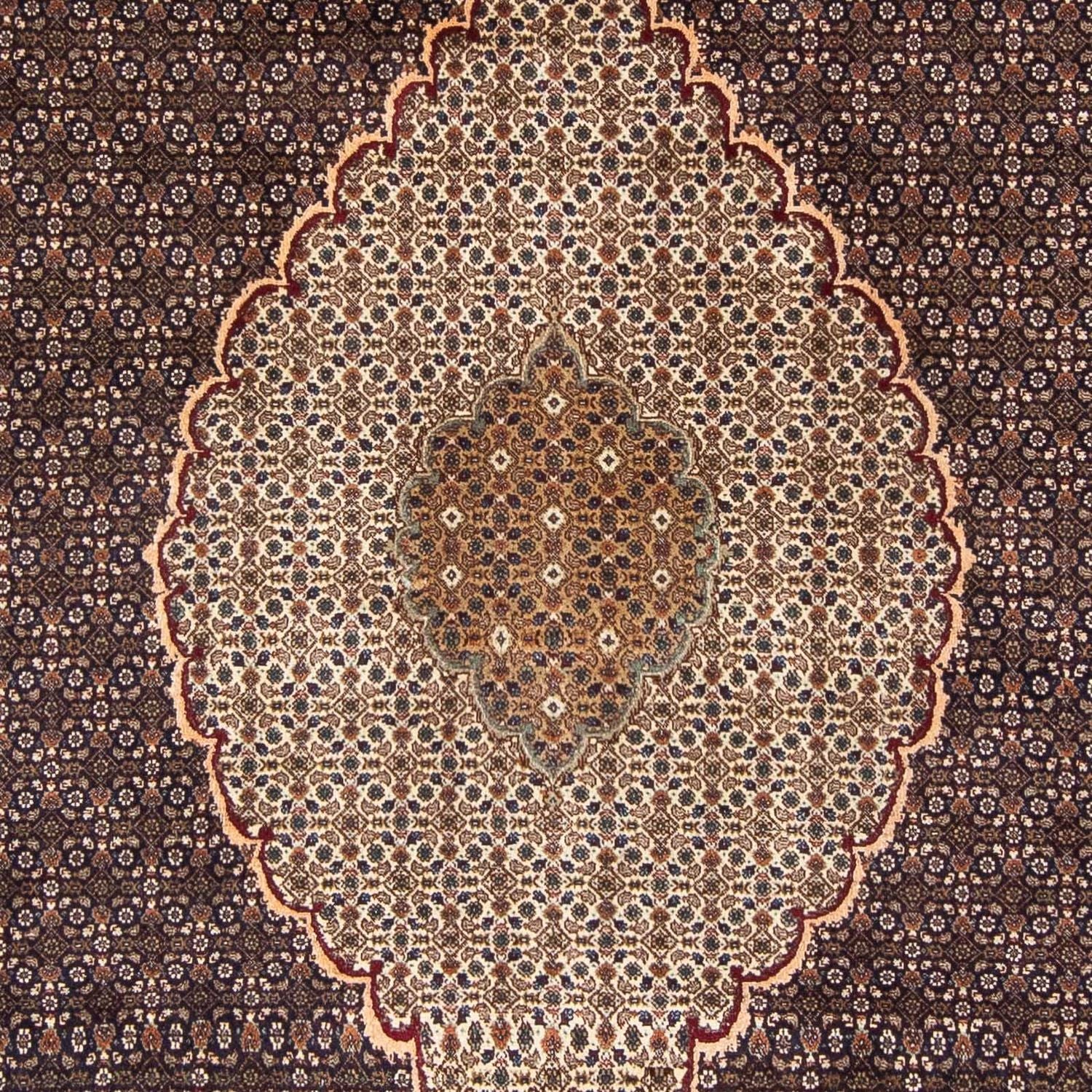 Tappeto Persero - Tabriz - 300 x 195 cm - marrone