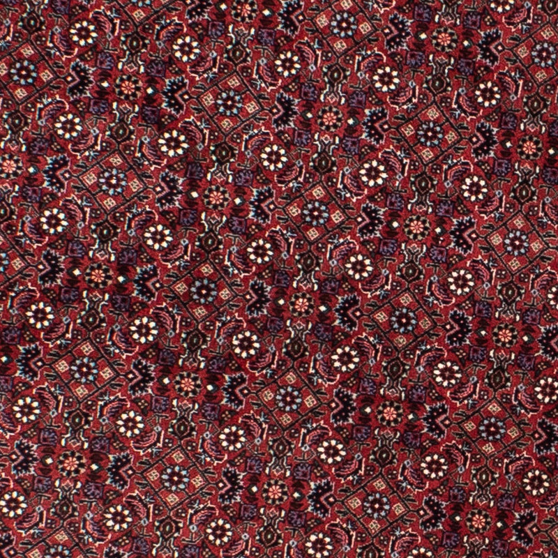 Tappeto Persero - Bidjar rotondo  - 160 x 160 cm - rosso scuro