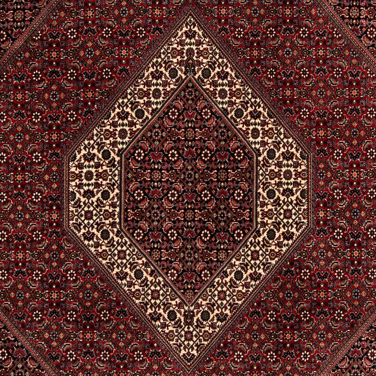 Tappeto Persero - Bidjar - 263 x 203 cm - rosso scuro
