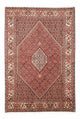 Bidjar Tappeto 258x174cm - Tappeto persiano