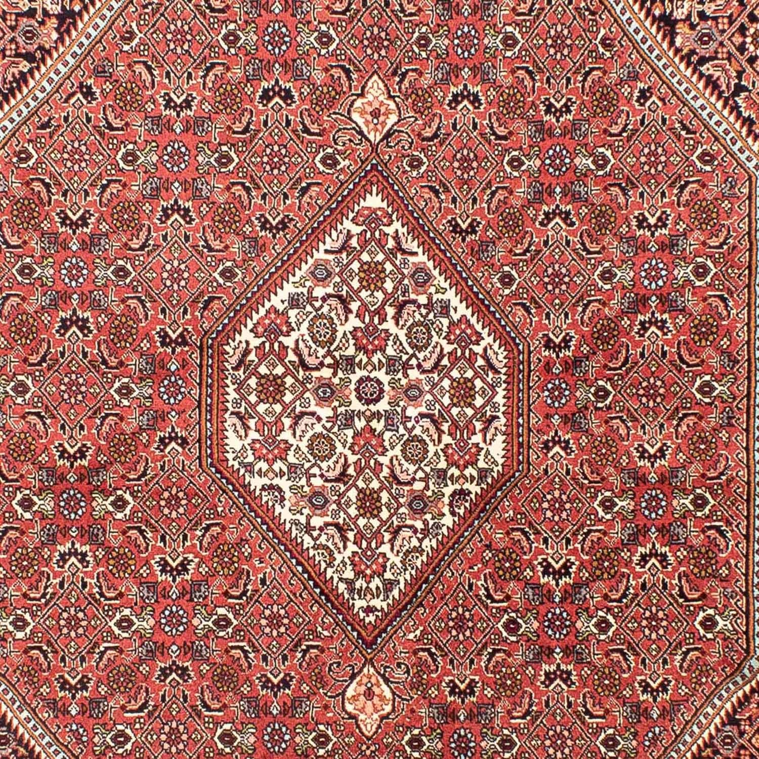 Tappeto Persero - Bidjar - 258 x 174 cm - rosso chiaro