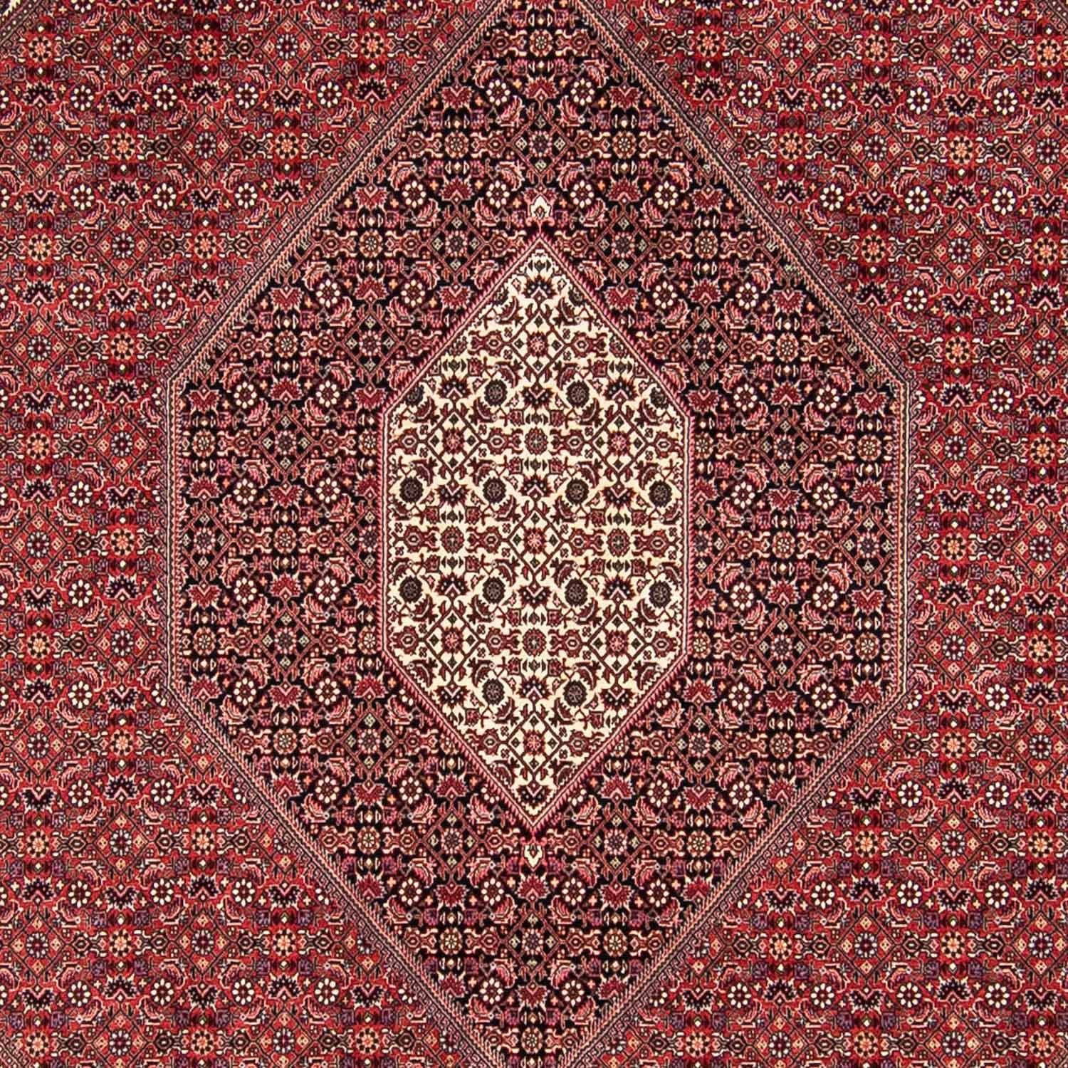 Tappeto Persero - Bidjar - 295 x 251 cm - rosso scuro