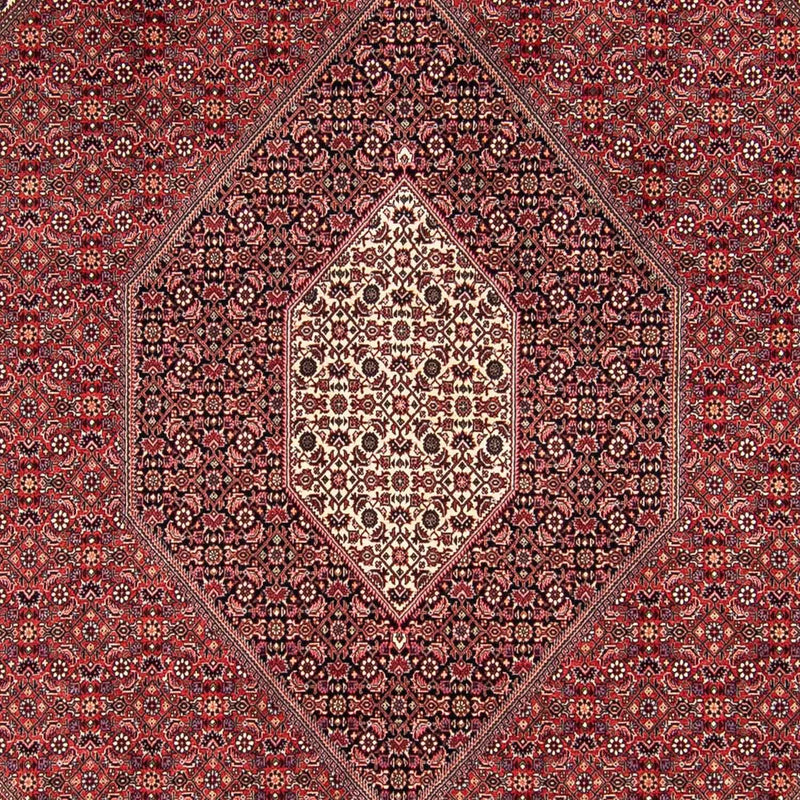 Tappeto Persero - Bidjar - 295 x 251 cm - rosso scuro